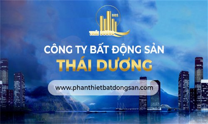 Tính Thành bàn giao khai trương website Bất động sản Thái Dương 