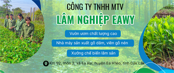 Tính Thành bàn giao khai trương website Công ty TNHH MTV Lâm nghiệp Ea Wy