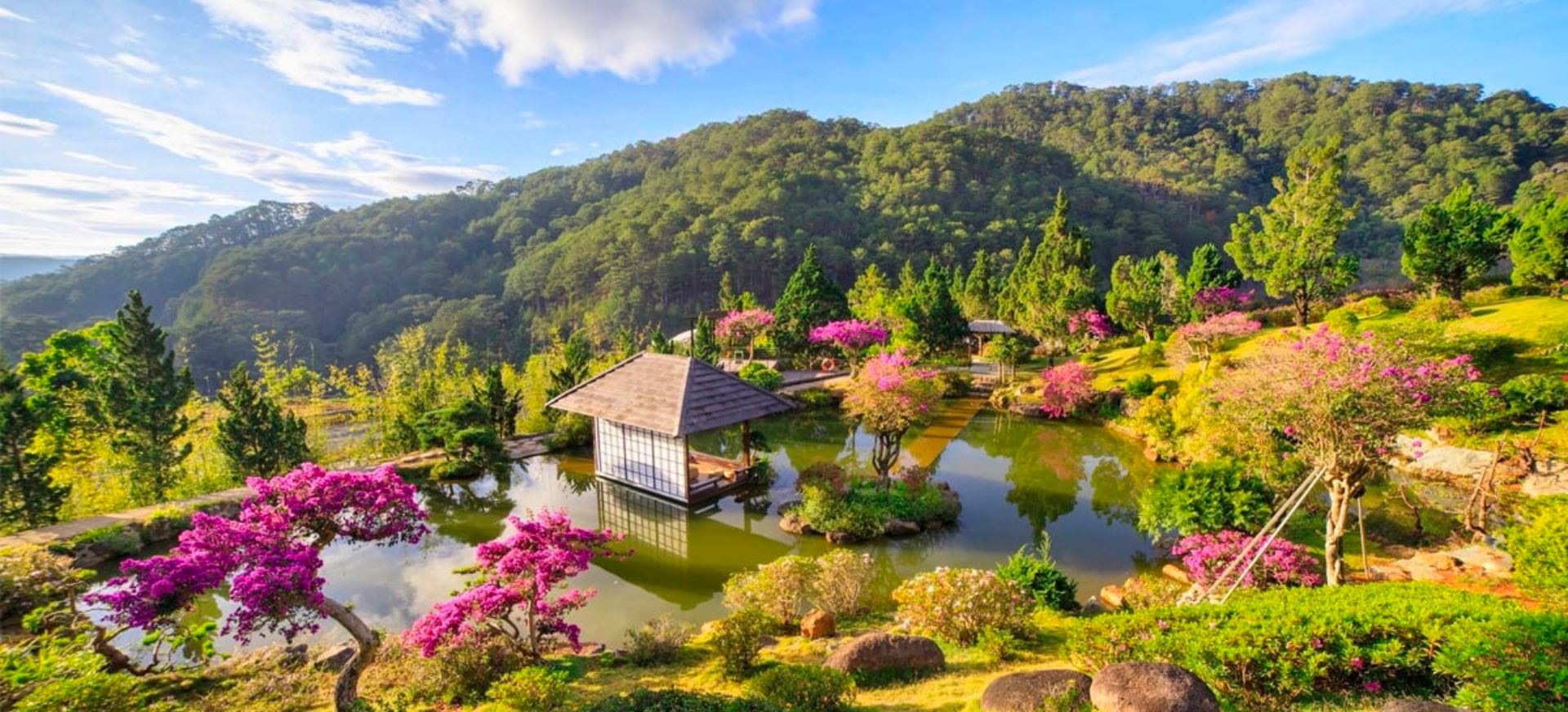 Thiết kế website Lâm Đồng